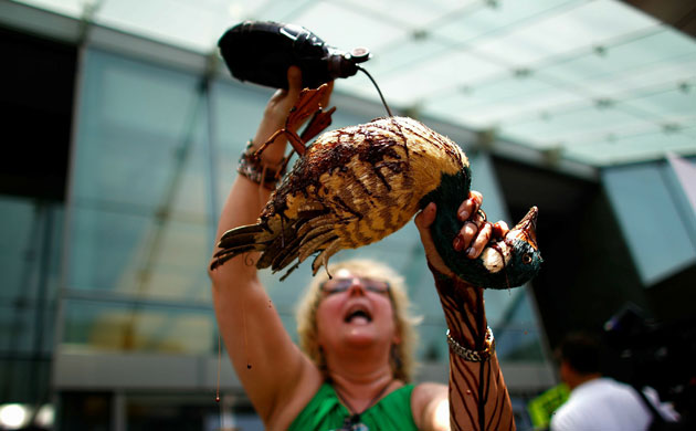 Deepwater Horizon: BP oil spill : protests, demonstrations and signs