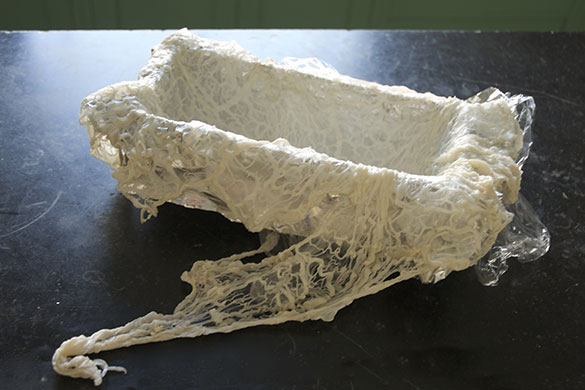 Pate de campagne: Tim Hayward makes pate