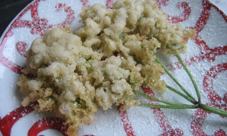 elderflower fritters