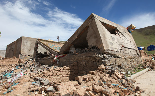 Caterpillar Fungus: Harvest around quake devasted Yushu, on Tibetan plateau, Qinghai, China