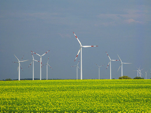 in pictures: generation: new generation of power generation