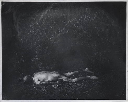 Sally Mann: The Family and the Land: Sally Mann