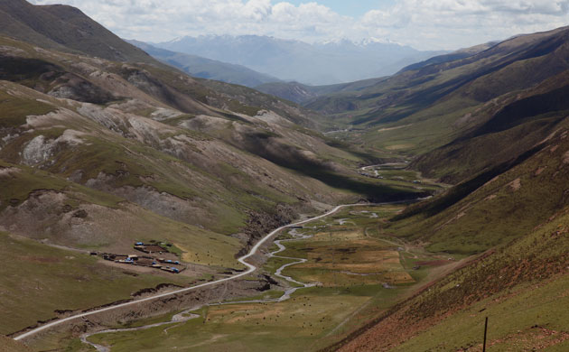 Week in wildlife: Caterpillar fungus gold rush near Yushu on Tibetan plateau, Qinghai, China