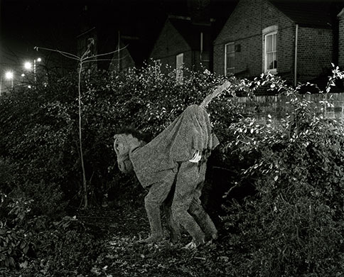 Gallery 19/06: a horse walks into a bar