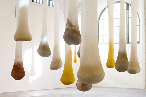Gallery 19/06: ernesto neto gallery