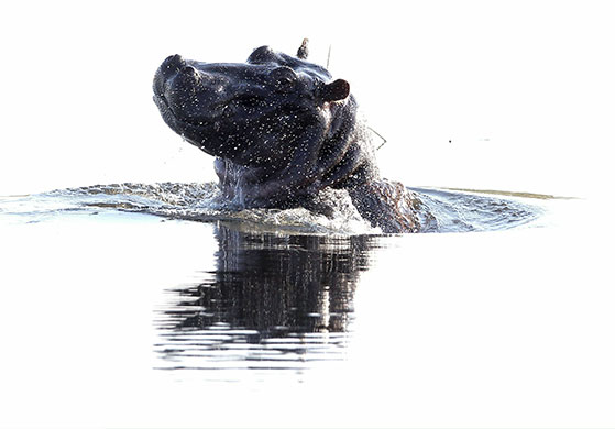 24 hours in pix: 24 hours in pix