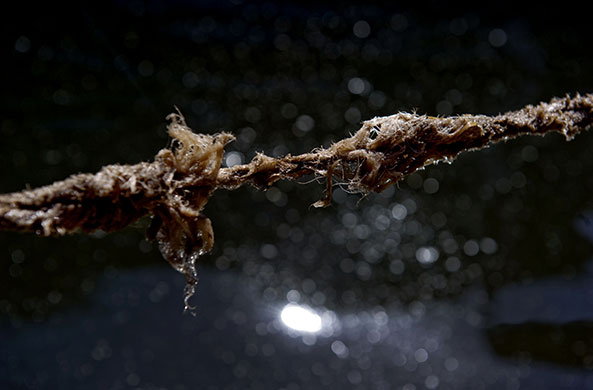 Texture: Frayed rope