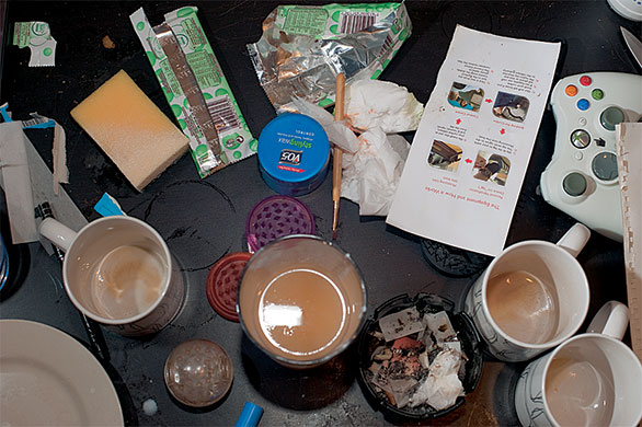 A year with Alfie Brooks: A year with Alfie Brooks