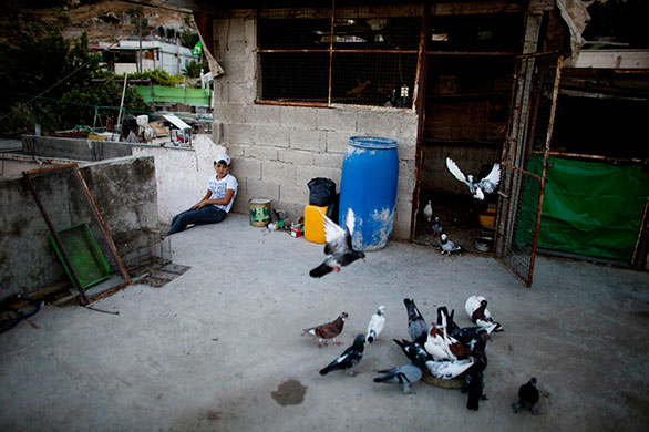 24 hours in pictures: Jerusalem, Israel: A Palestinian boy sits on his rooftop