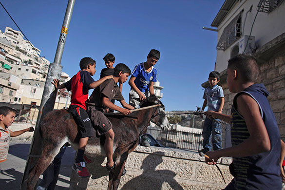 24 hours in pictures: Silwan, Jerusalem: Palestinian boys play with a donkey
