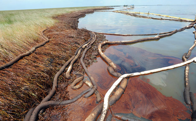 Deepwater horizon: BP oil spill in the Gulf of Mexico