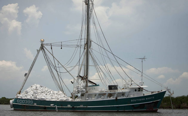 Deepwater horizon: Deepwater Horizon BP Oil spill impact on Louisiana coastline.