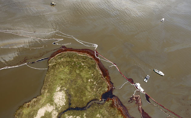 Deepwater horizon: BP Oil spill : Barataria Bay, Louisiana