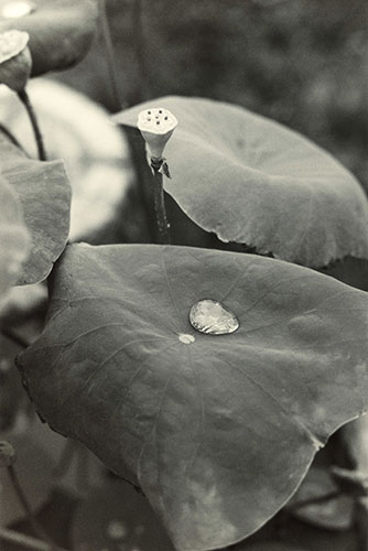 Wolfgang Tillmans: Wolfgang Tillmans