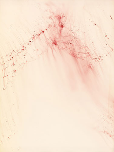 Wolfgang Tillmans: Wolfgang Tillmans