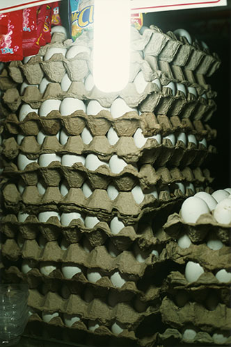 Wolfgang Tillmans: Wolfgang Tillmans