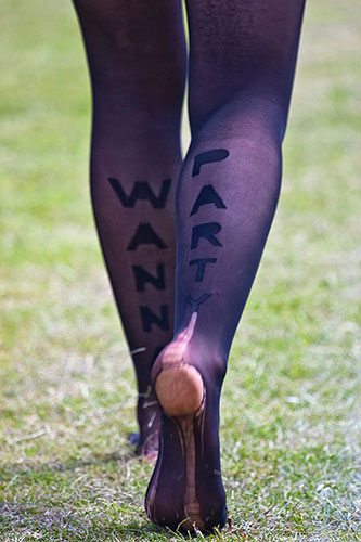 Peter Meade assignment: Want party