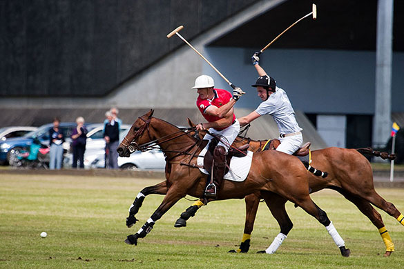 Peter Meade assignment: Exhibition polo