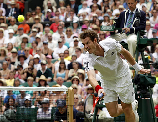 andy murray: Andy Murray