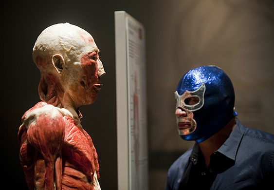 24 hours in pictures: A Mexican wrestler observes a dissected body