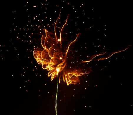 In Pictures: light: firework