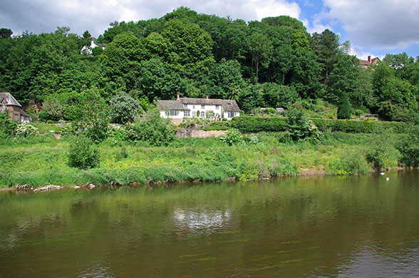 snooping around: The Rookery