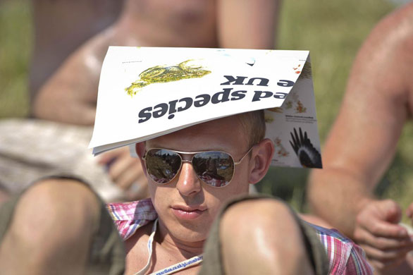 Heat: A music fan uses a Guardian wallchart to protect himself from the sun