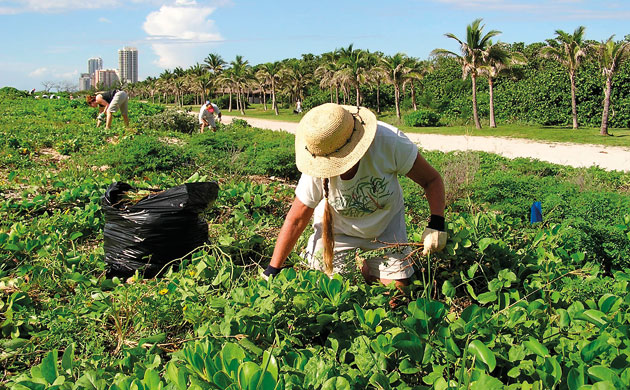 Botanic Gardens: Florida's most threatened plants