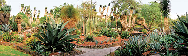 Botanic Gardens 2: The UNAM Botanic Garden, Mexico