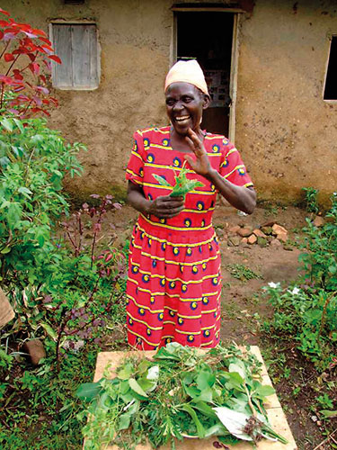 Botanic Gardens 2: A traditional healer prsents plants in Bushenyi district, Uganda