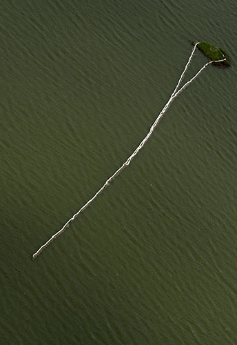 24 hours: attempted oil clean up operation in Louisiana