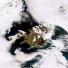 Satellite Eye on Earth: A smoke-free Iceland : The Eyjafjallajokull volcano