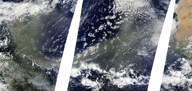 Satellite Eye on Earth: Saharan dust ferried across the Atlantic on easterly winds