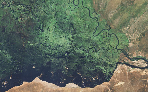 Satellite Eye on Earth:  Zambezi River floodplain