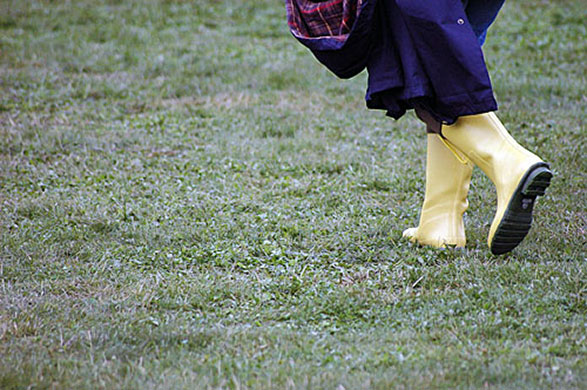 Hay festival: wellies