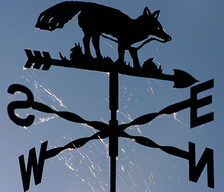 in pictures: letters: weathervane