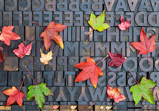 in pictures: letters: wooden type set