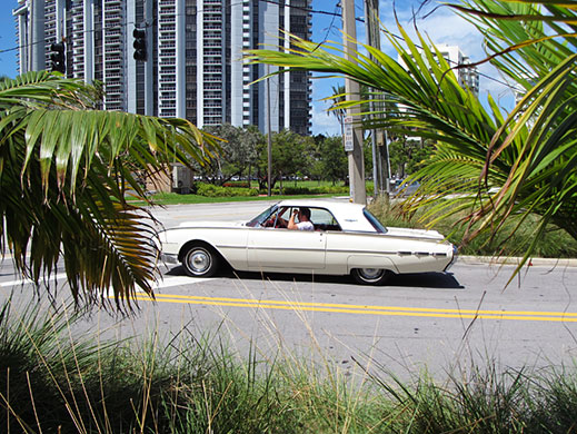Face Hunter: Miami: Old American car on Venetian Island