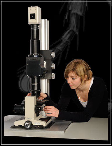 Mesolens: a microscope on show at the Royal Society’s Summer Science Exhibition