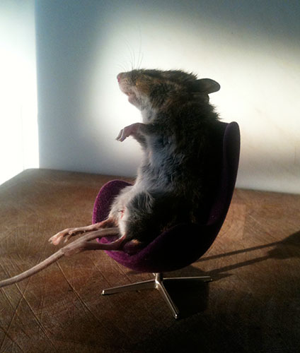 show & tell: Nick Frost: Stuffed mouse