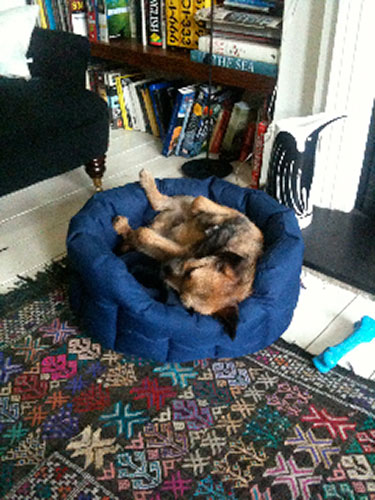 show & tell: Nick Frost: Sleeping dog