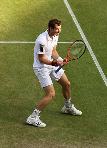 Tennis: Tennis - 2010 Wimbledon Championships
