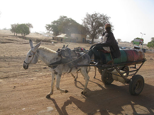 Kids for Kids: A donkey pulls a cart of essential water