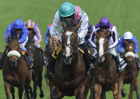 Epsom Derby 2010: Workforce