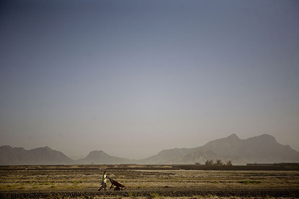 24 hours: Panjwayi, Afghanistan: A girl makes her way home after working 