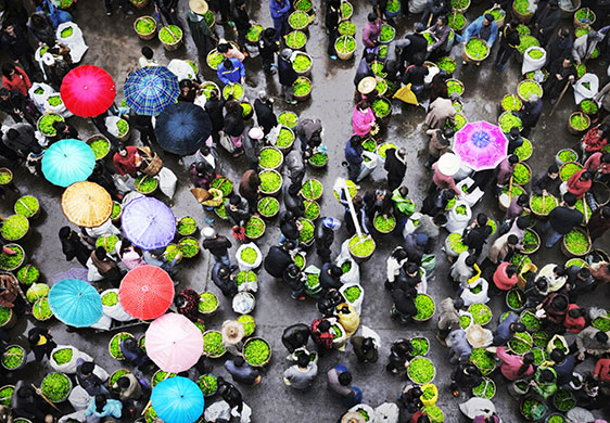 24 hours in pictures: Chongqing, China: Local people gather at a tea fair