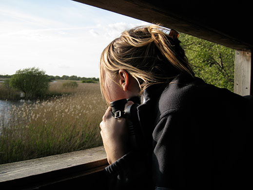 show & tell: Eavis: Emily Eavis in the bird hide