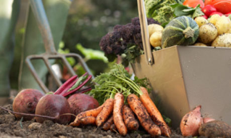 Digging veg