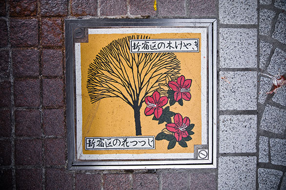Drainspotting in Japan: Yotsuya, Shinjuku Ward, Tokyo 