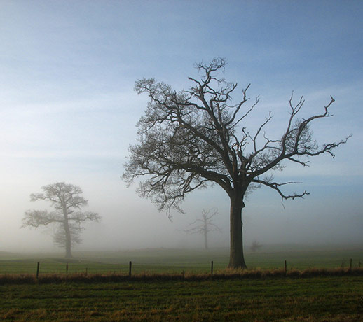 Camera Club: A review of Peet-Astn's portfolio